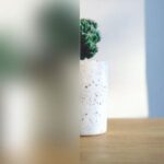 Satinato (Milchglas)