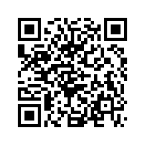 QR-Code Ratenkauf