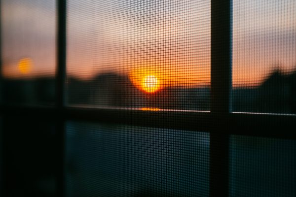 Den Sonnenuntergang bei offenem Fenster genießen – am besten mit einem effizienten Insektenschutz.