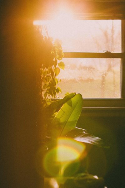 Mit einem UV-Schutz-Fenster viel Licht genießen und sich gleichzeitig schützen.